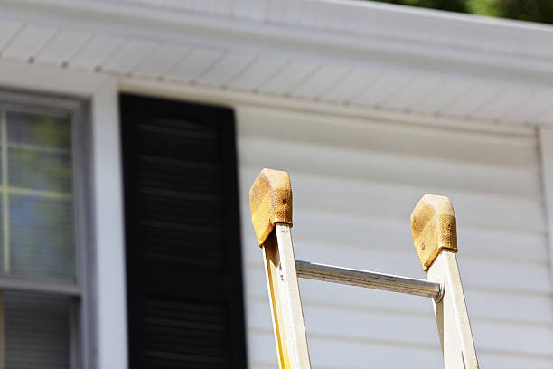 Best Steel Siding Installation  in Fort Hunt, VA